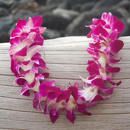 graduation leis, leis cheap for graduation, lei from hawaii,  Leis in Bulk, real hawaiian leis, leis from hawaii, fresh leis delivered, leis shipped to mainland, fresh orchid leis.