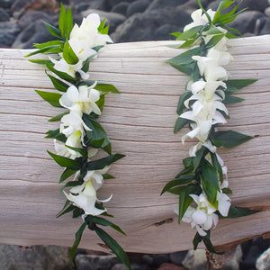 Double Ti-Leaf Lei Maile Style with Orchid Wrap