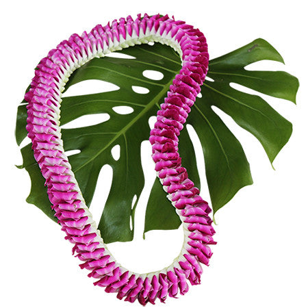 Kukui nut lei, fresh leis, orchid leis, hawaiian leis, fresh leis shipped, hawaiian leis delivered, graduation leis from hawaii shipped, fresh leis delivered