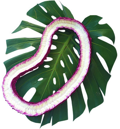 hawaiian leis, fresh orchid leis, wedding leis, fresh leis from hawaii, hawaii leis shipped, leis delivered.