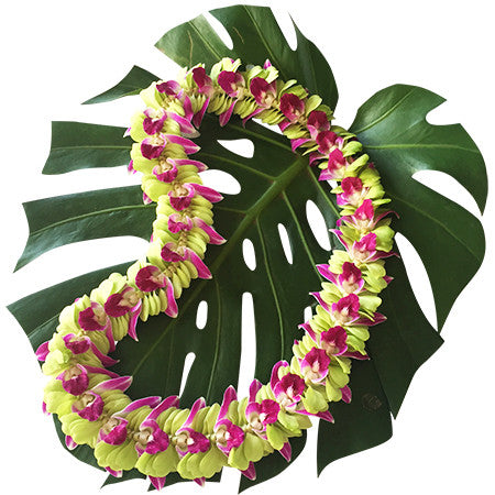 Hawaiian orchid Lei fresh lei hawaiian leis orchid lei fresh orchid leis leis from hawaii delivered leis shipped