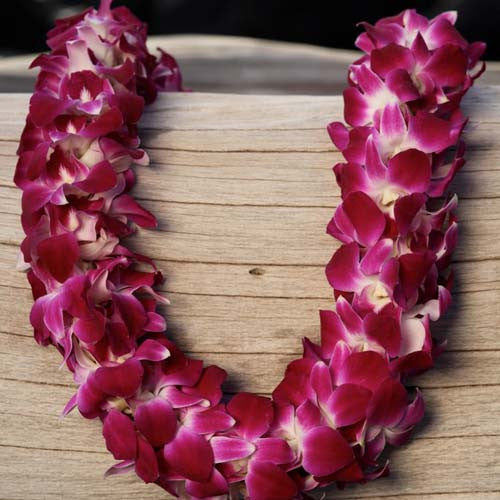 Hawaiian orchid Lei fresh lei hawaiian leis orchid lei fresh orchid leis leis from hawaii delivered leis shipped