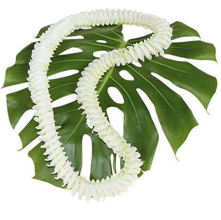 Kukui nut lei, fresh leis, orchid leis, hawaiian leis, fresh leis shipped, hawaiian leis delivered, graduation leis from hawaii shipped, fresh leis delivered