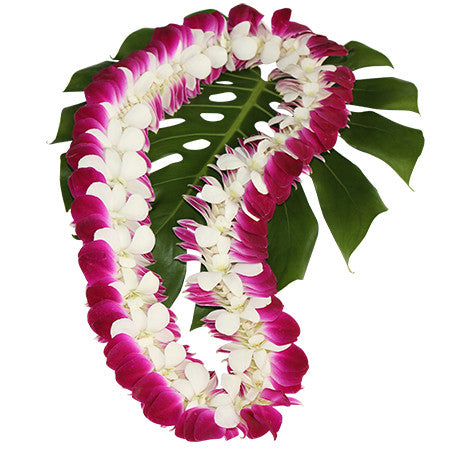 Kukui nut lei, fresh leis, orchid leis, hawaiian leis, fresh leis shipped, hawaiian leis delivered, graduation leis from hawaii shipped, fresh leis delivered