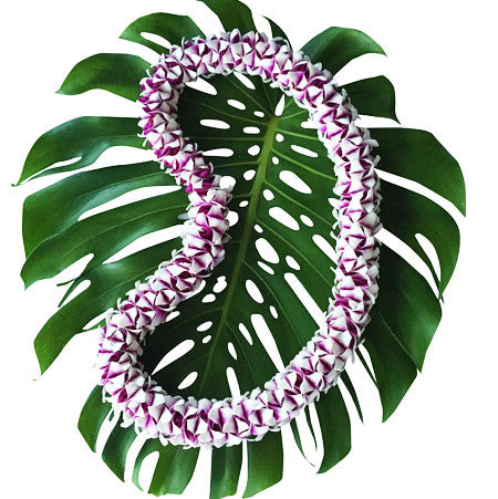 Hawaiian orchid Lei fresh lei hawaiian leis orchid lei fresh orchid leis leis from hawaii delivered leis shipped