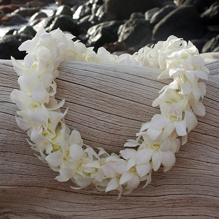 Hawaiian orchid Lei fresh lei hawaiian leis orchid lei fresh orchid leis leis from hawaii delivered leis shipped