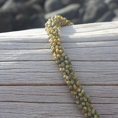 Green Mongo Shell Lei