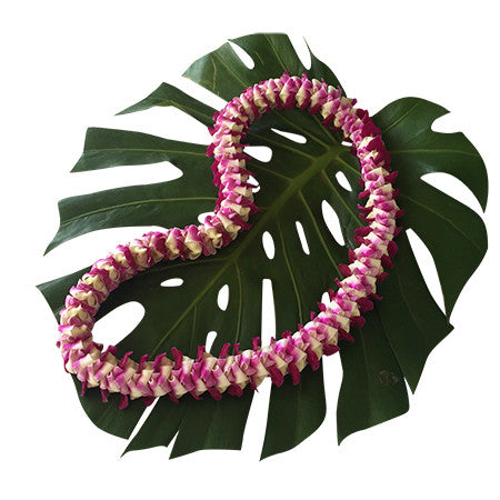 Kukui nut lei, fresh leis, orchid leis, hawaiian leis, fresh leis shipped, hawaiian leis delivered, graduation leis from hawaii shipped, fresh leis delivered