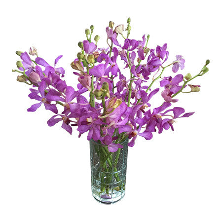 Purple Mokara Orchid Stems ( 10-pack)