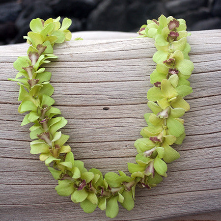 Green Orchid Lei