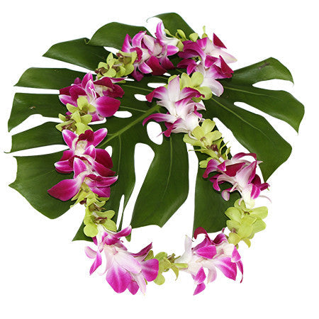 Purple Orchid Leis ( 50 Leis) | Hawaii Flower Delivery