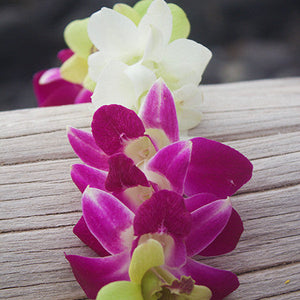 Purple/White Orchid Lei Bulk - 50 Leis