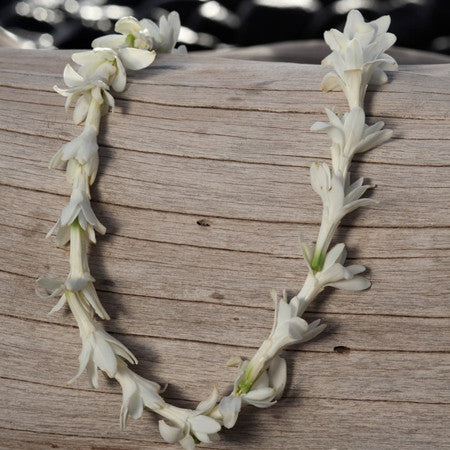 Tuberose Lei