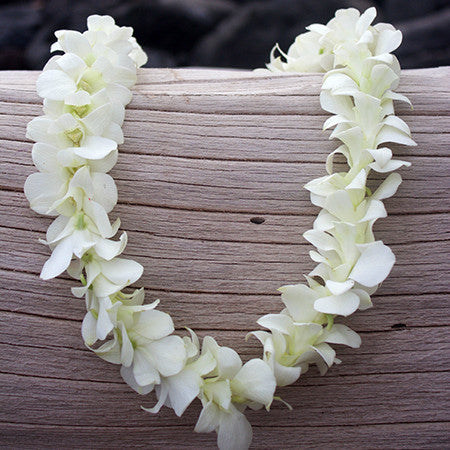 orchid leis bulk, fresh leis, orchid leis, hawaiian leis, fresh leis shipped, hawaiian leis delivered, graduation leis from hawaii shipped, fresh leis delivered