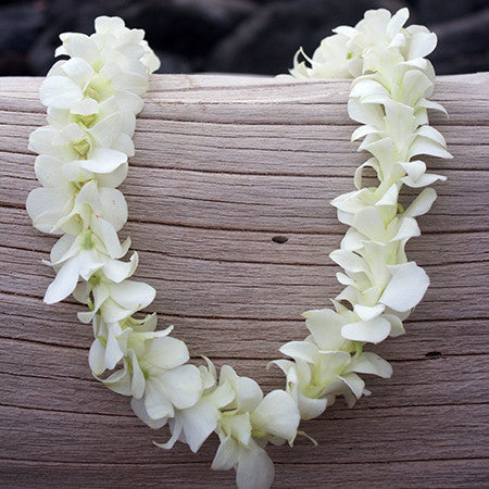 Triple Orchid Lei Fresh Hawaiian Lei for Graduations, Weddings Ships Fresh  & Fast 
