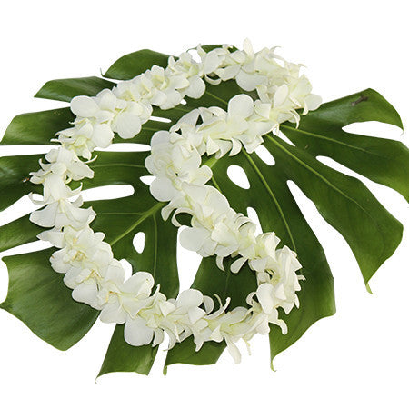 Single White Orchid Lei Bulk - Pacific Leis