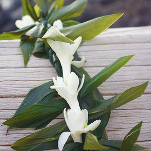 Double Ti Leaf Lei with Tuberose