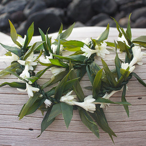 TI Leaf and Tuberose Lei