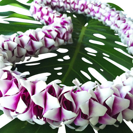 Hawaiian orchid Lei fresh lei hawaiian leis orchid lei fresh orchid leis leis from hawaii delivered leis shipped